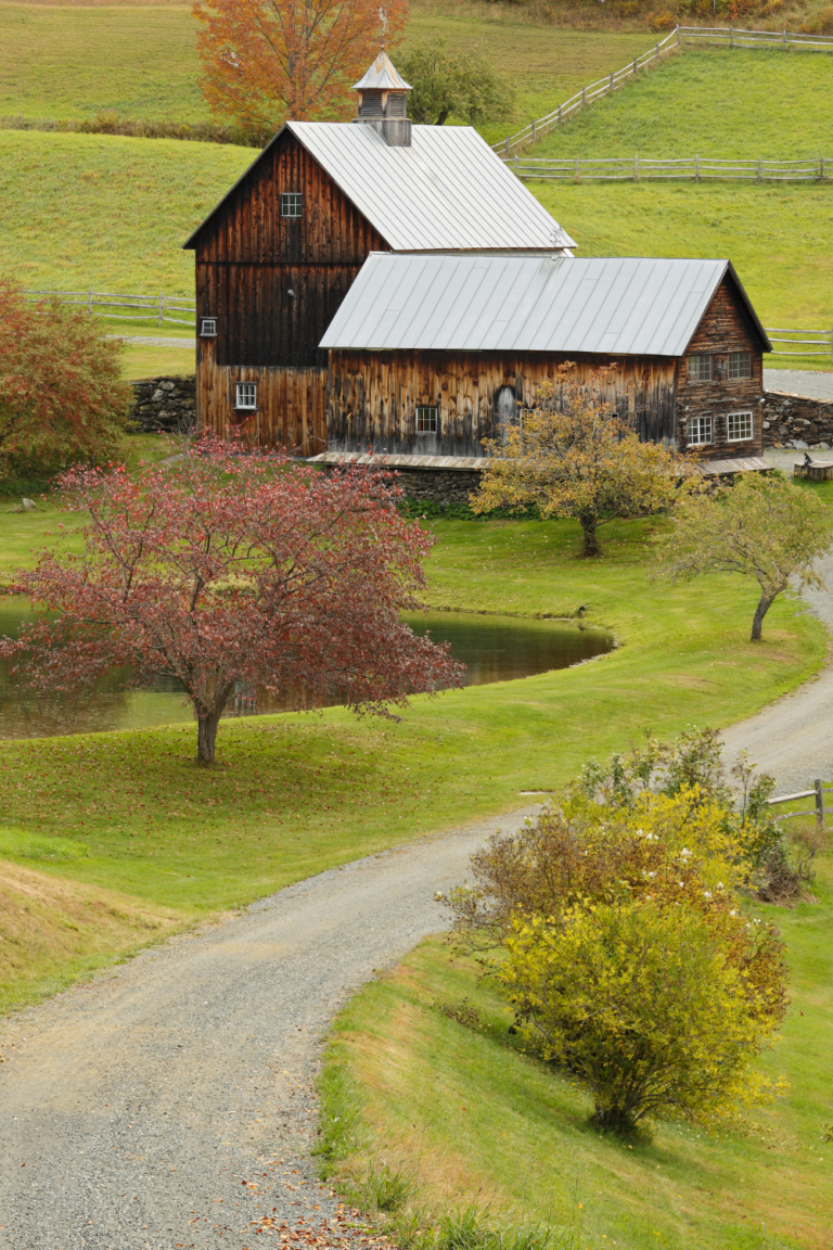 Homesteading on 5 Acres: How to Maximize Your Land