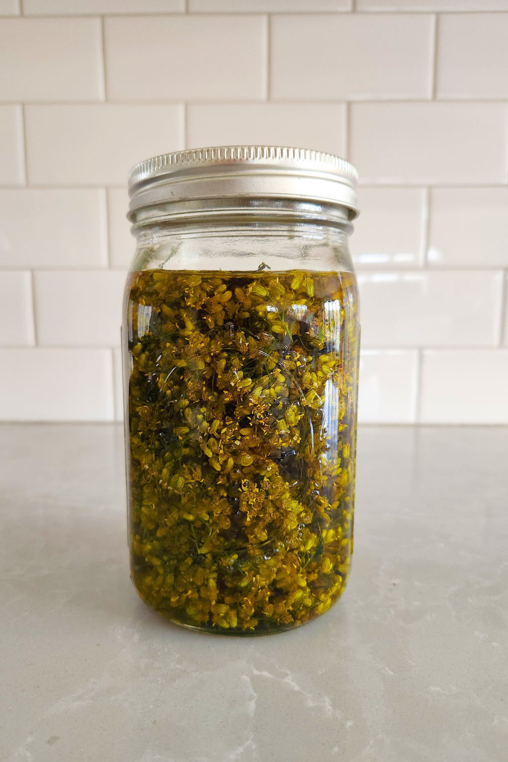 How to Make Yarrow Infused Oil: An Easy DIY Guide