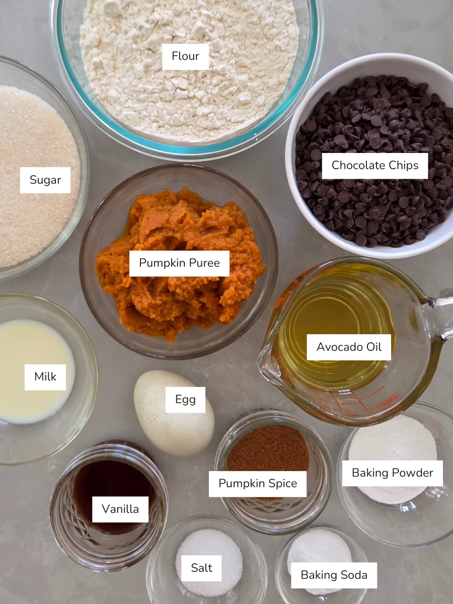 Overhead view of labeled ingredients for pumpkin spice chocolate chip cookies, including flour, sugar, pumpkin purée, avocado oil, egg, milk, vanilla, pumpkin spice, chocolate chips, baking powder, baking soda, and salt in small bowls on a kitchen counter.